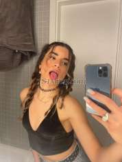 Shemale-schokolade-2267230 