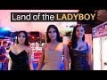 The Land of the LADYBOY